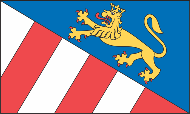 Heraldična zastava Goriške