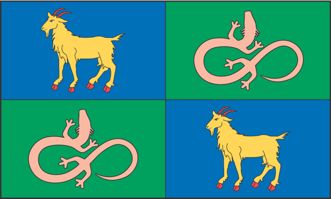 Heraldična zastava Primorsko-notranjske