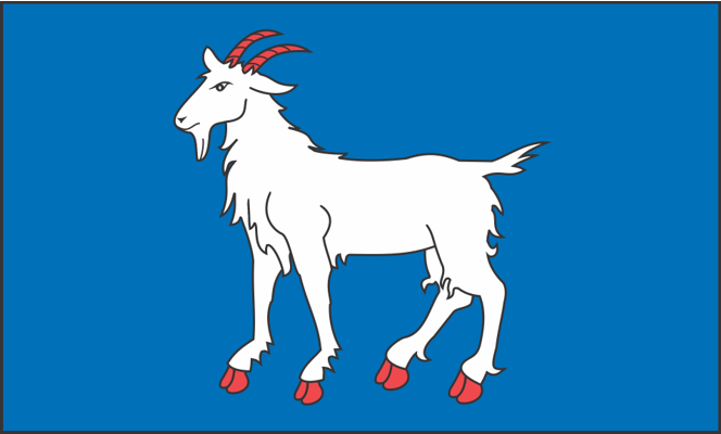 Heraldična zastava Istre