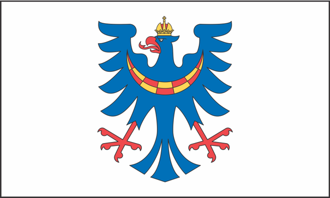 Heraldična zastava Osrednjeslovenske