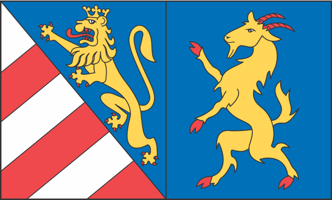 Heraldična zastava Primorske