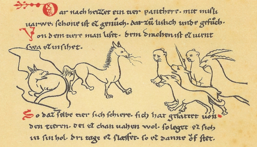 Panter iz Fiziologa v Miljskem rokopisu iz druge polovice 12. stoletja. Alfred Ritter Anthony von Siegenfeld, Das Landeswappen der Steiermark, Gradec, 1900.