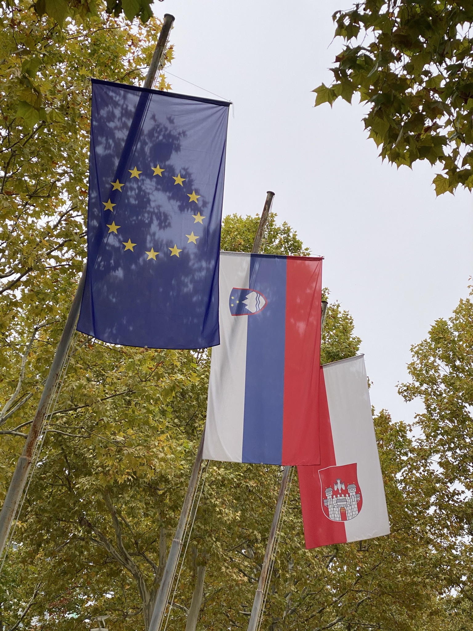Stara zastava Maribora z grbom na inferiornem mestu, ki je prvo poškodovano med stalno uporabo. Foto: Aleksander Hribovšek, 2020.