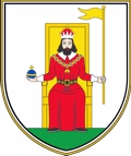 človeška postava, grb Mestne občine Novo mesto